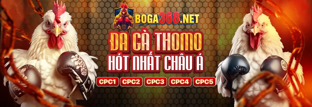 Đá gà trực tuyến 99ok com với những trận đấu kịch tính